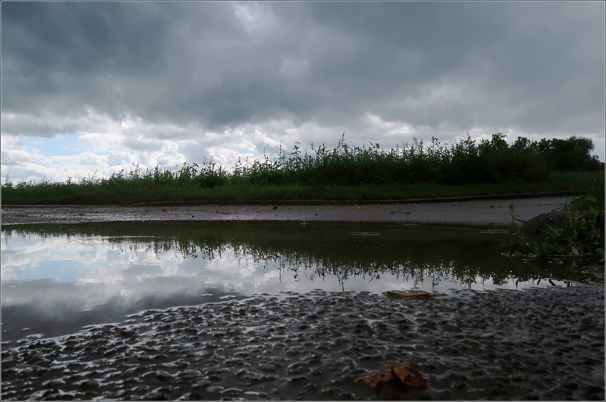 Ein graues Bild - 

Zutaten sind dunkle Gewitterwolken, eine Pfütze nach einem heftigen Regenschauer und Gräser am Wegesrand.

Bei Kernen-Rommelshausen, 02.08.2021 (M)