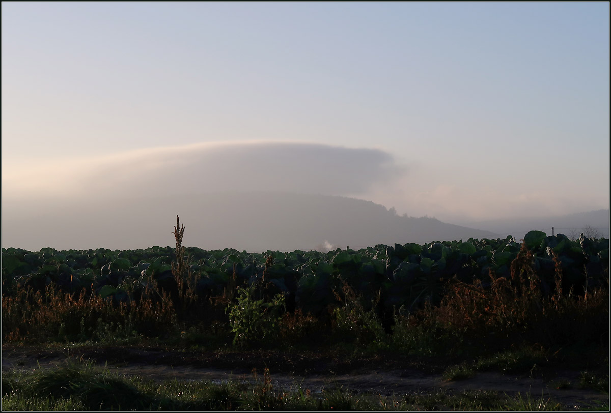 Ein Haube über dem Berg -

Hochnebel über den Schurwaldhöhen über Rosenkohlfeld bei Kernen-Rommelshausen.

20.11.2020 (M)