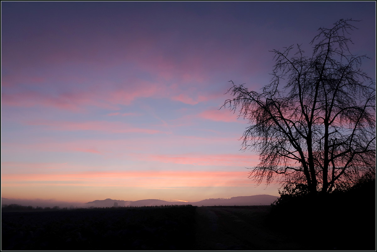 Ein kalter Novembermorgen -

Blick von Kernen-Rommelshausen dem Morgen entgegen. Auch heute hatte der Morgen wieder sehr viel Schönheit zu bieten, wiederum auf ganz andere Art.

21.11.2020 (M)