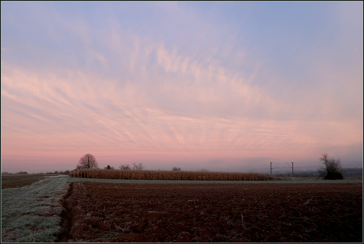 Ein kalter Novembermorgen -

Ein Blick nach Westen mit feinen Schleierwolken über die hier recht eben wirkende Landschaft. Zwischen Rommelshausen und Endersbach.

21.11.2020