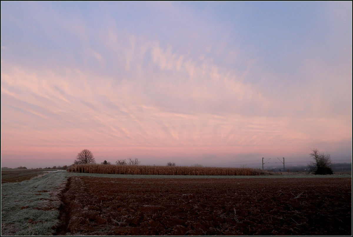 Ein kalter Novembermorgen -

Ein Blick nach Westen mit feinen Schleierwolken über die hier recht eben wirkende Landschaft. Zwischen Rommelshausen und Endersbach.

21.11.2020