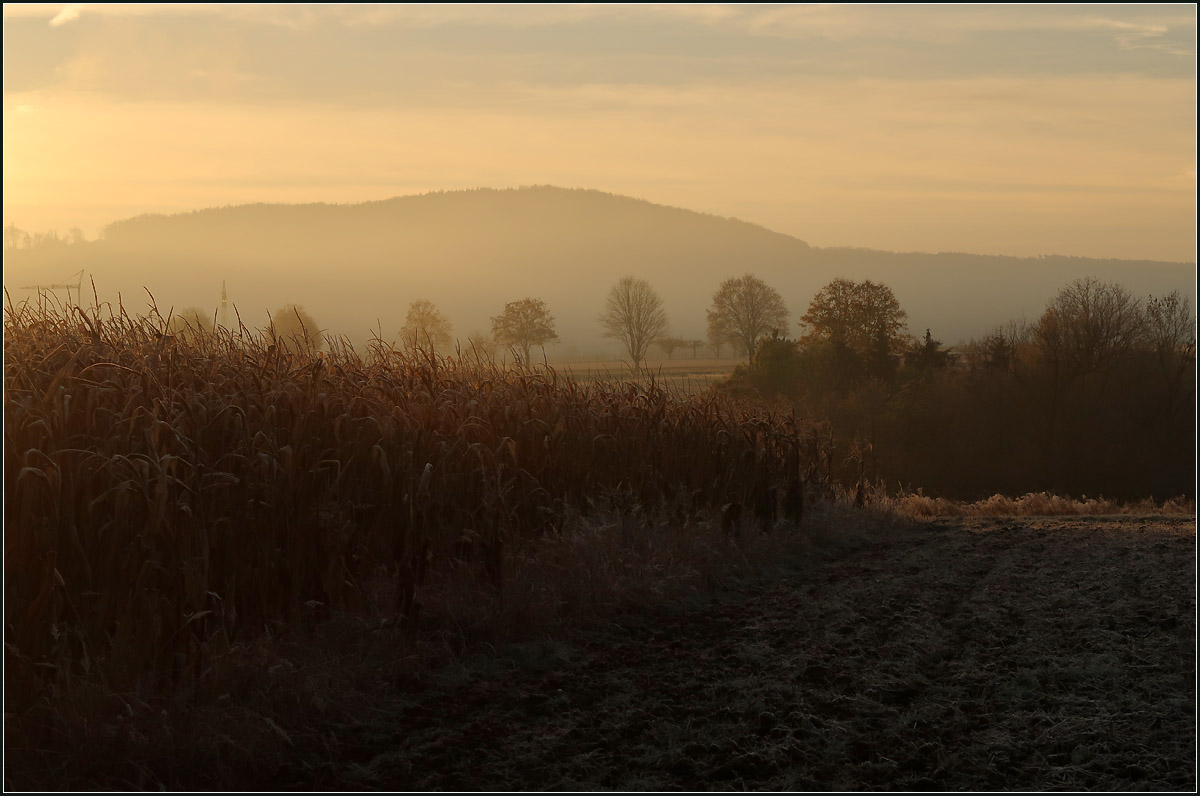 Ein kalter Novembermorgen -

Mit dem steigen der Sonnen verändern sich die Farben. Im Hintergrund der zum Schurwald gehörende Katenstein.
Bei Weinstadt-Endersbach.

21.11.2020