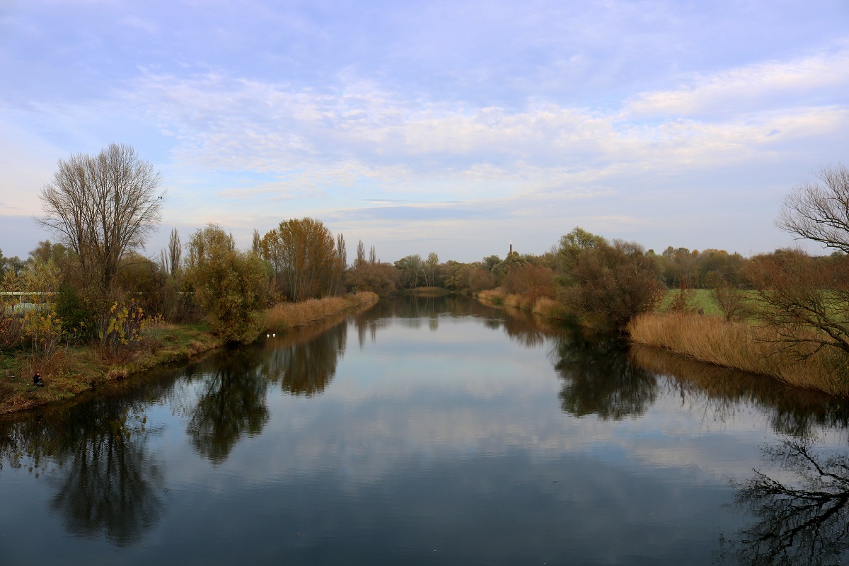 Ein kurzer Stopp mit dem Fahrrad ermöglichte eine Aufnahme im Sonnenlicht vom Kanal (Regattastrecke), dem nördlichen Kanalabschnitt in der Saaleaue im Südwesten der Stadt Halle (Saale). Blickrichtung Nordost. [4.11.2017 | 14:41 Uhr]