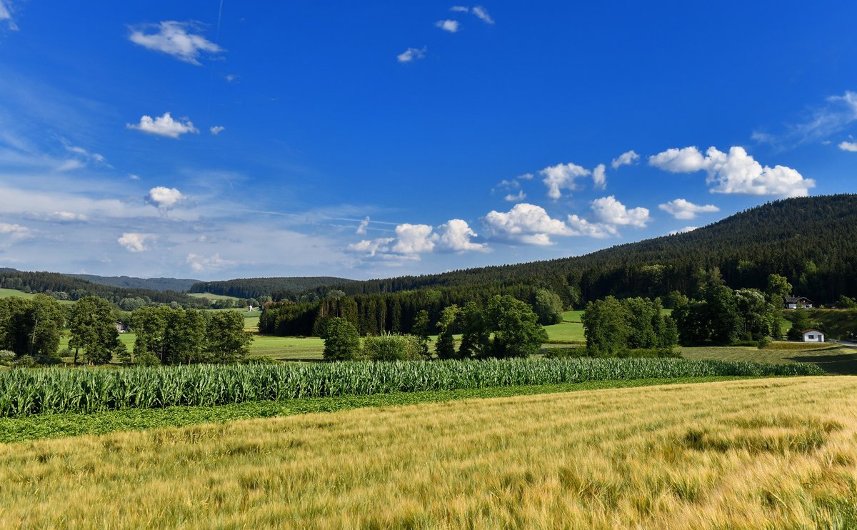 Ein Landschaftsfoto aus dem Bayerischen Wald am 18.07.2018 unweit von der Kreisstadt Regen.