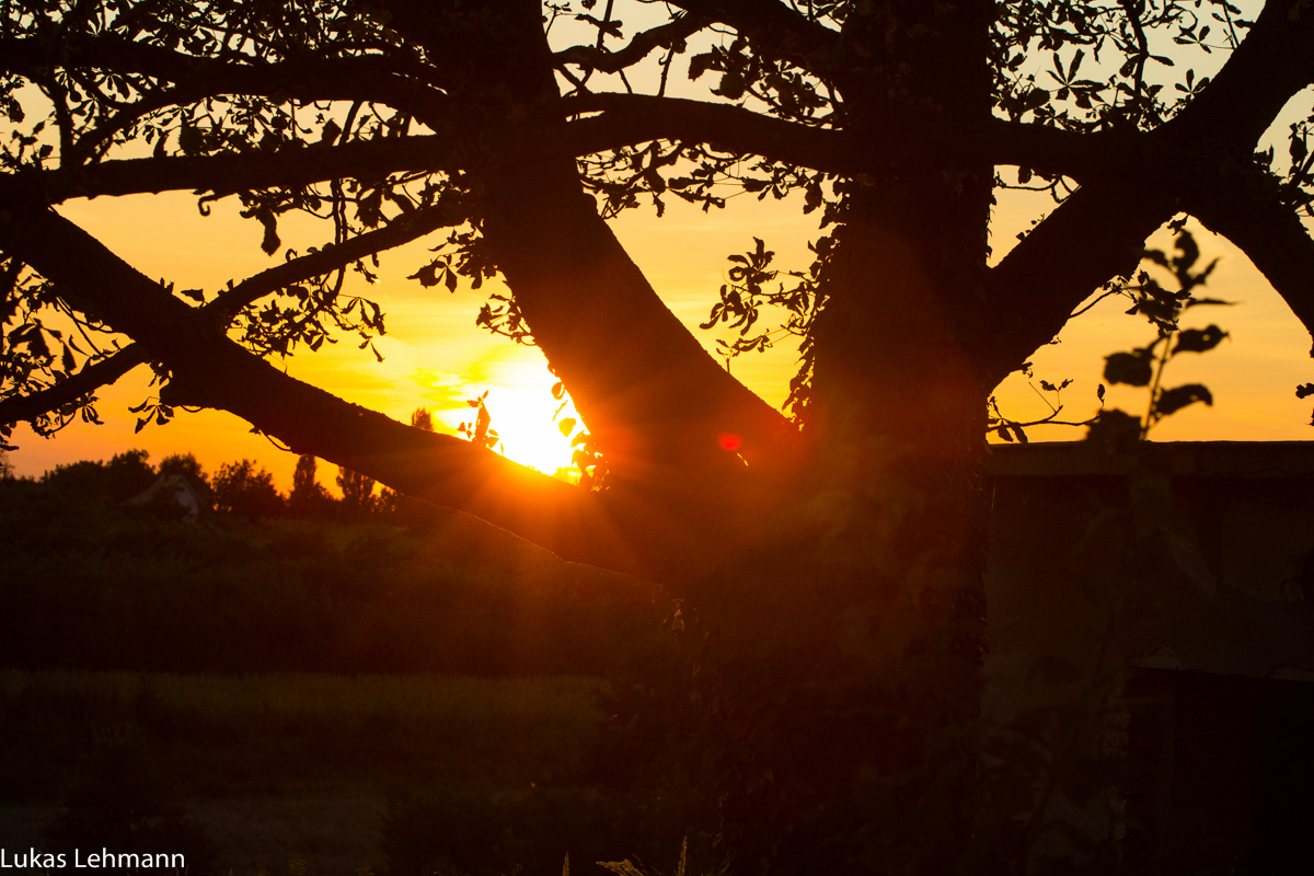 Ein schöner Sonnenuntergang in Keszthely ereignete sich am 26.08.2015