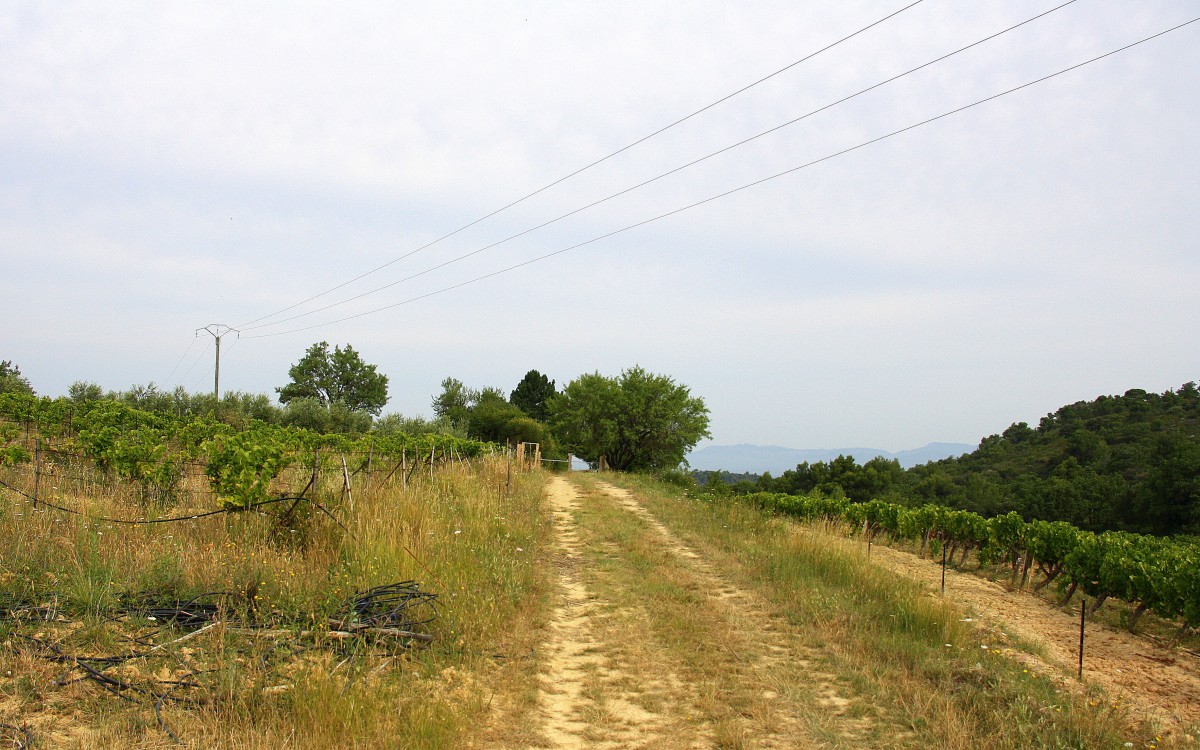 Ein Weg in der Provence(F) bei Sonne und Wolken am Morgen vom 25.7.2014.