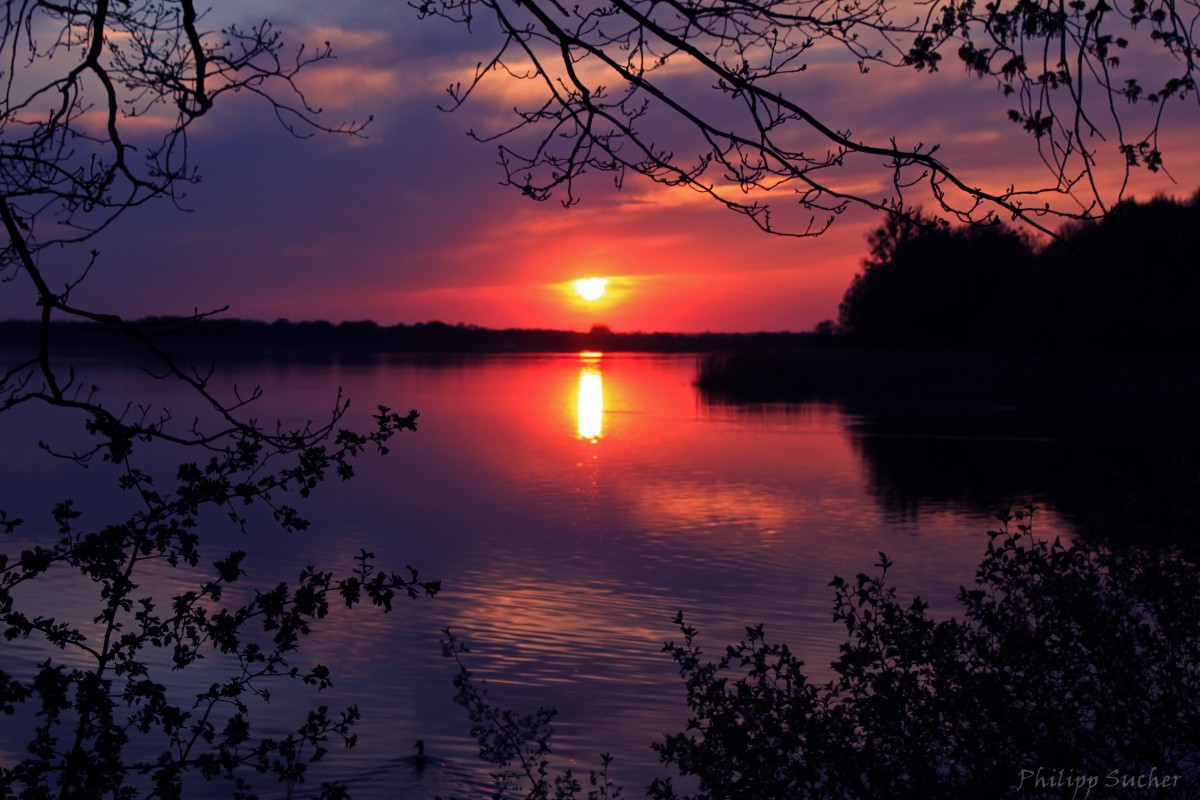 Eindrucksvoller Sonnenuntergang über dem großen Teich. So gesehen am 24.04.2015.