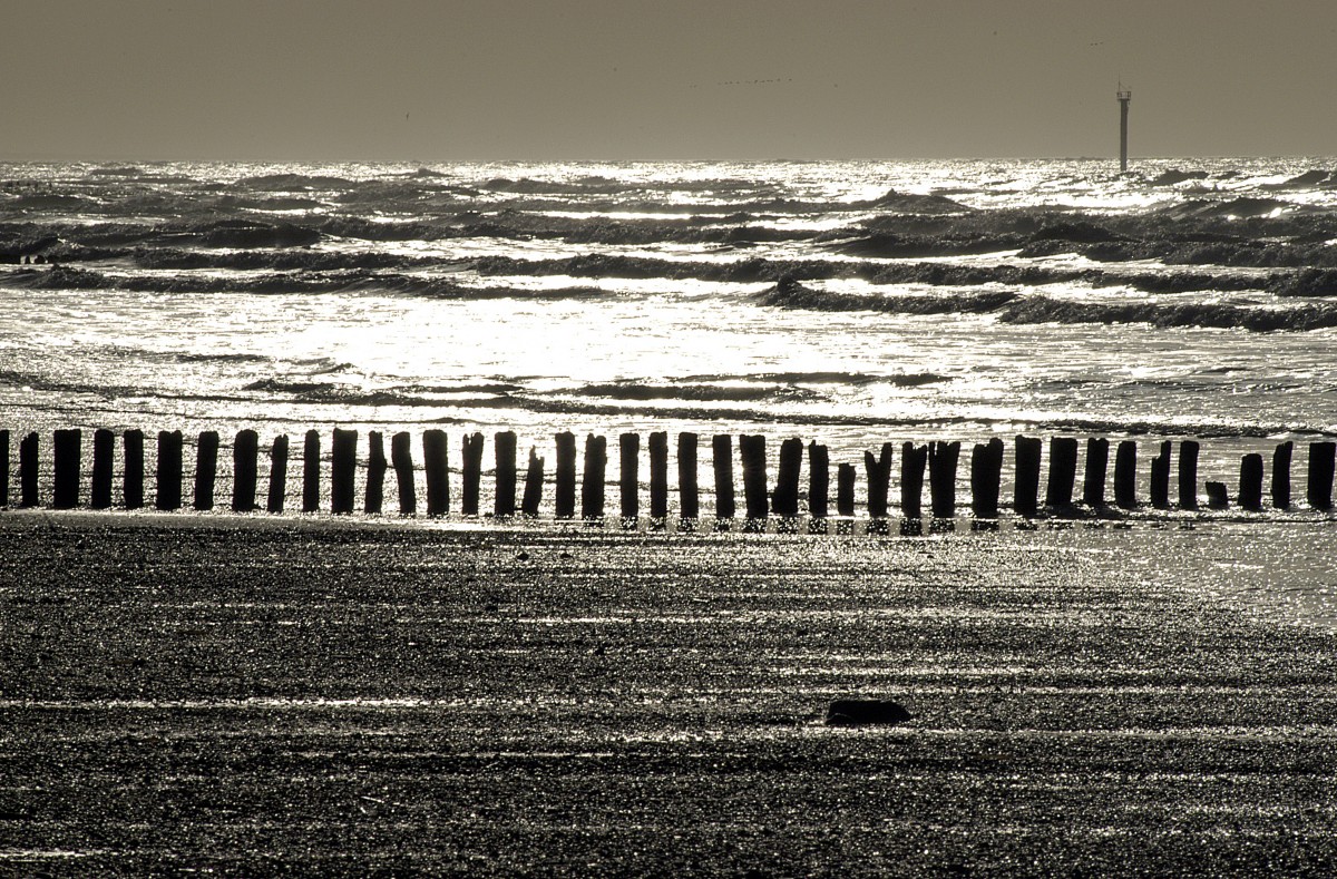 Eine Buhne in der Abendsonne am Nordstrand von Norderney. Aufnahme: April 2008.