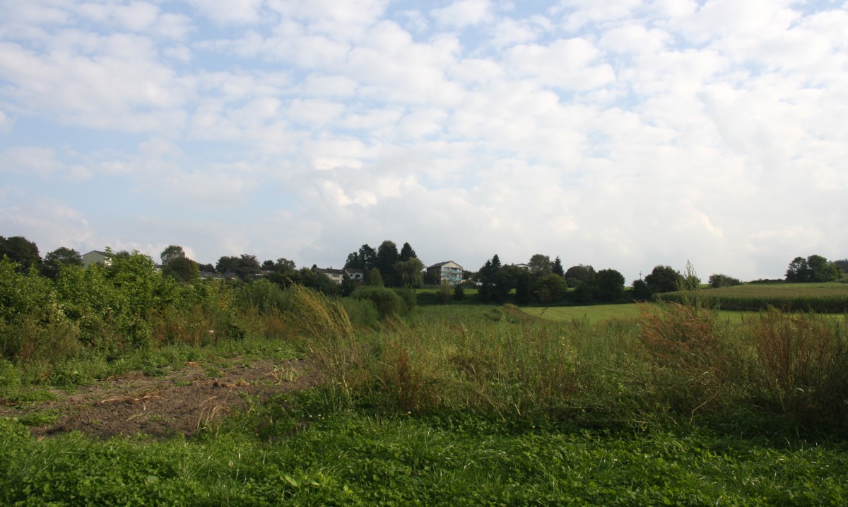 Eine Schöne Landschaft am Gemmenicher-Weg in Aachen am 14.9.2014.