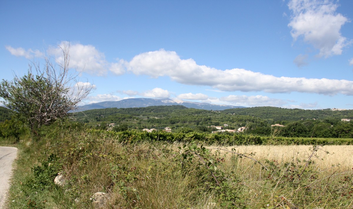 Eine schöne Landschaft in der Provence(F) bei Sonne und Wolken am Nachmittag vom 30.7.2014.