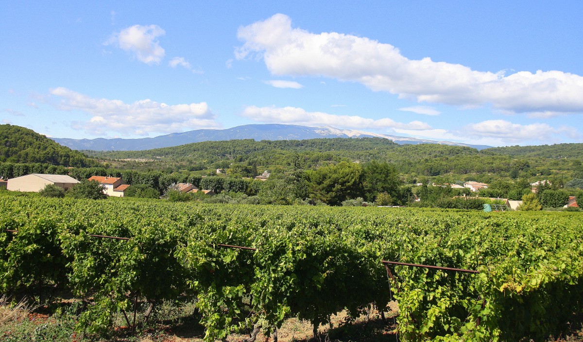 Eine schöne Landschaft in der Provence(F) bei Sonne und Wolken am Nachmittag vom 30.7.2014.