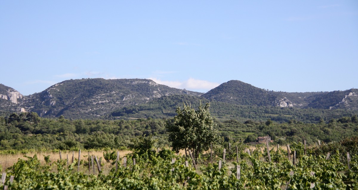 Eine schöne Landschaft in der Provence(F) bei Sommerwetter am Nachmittag vom 30.7.2014.