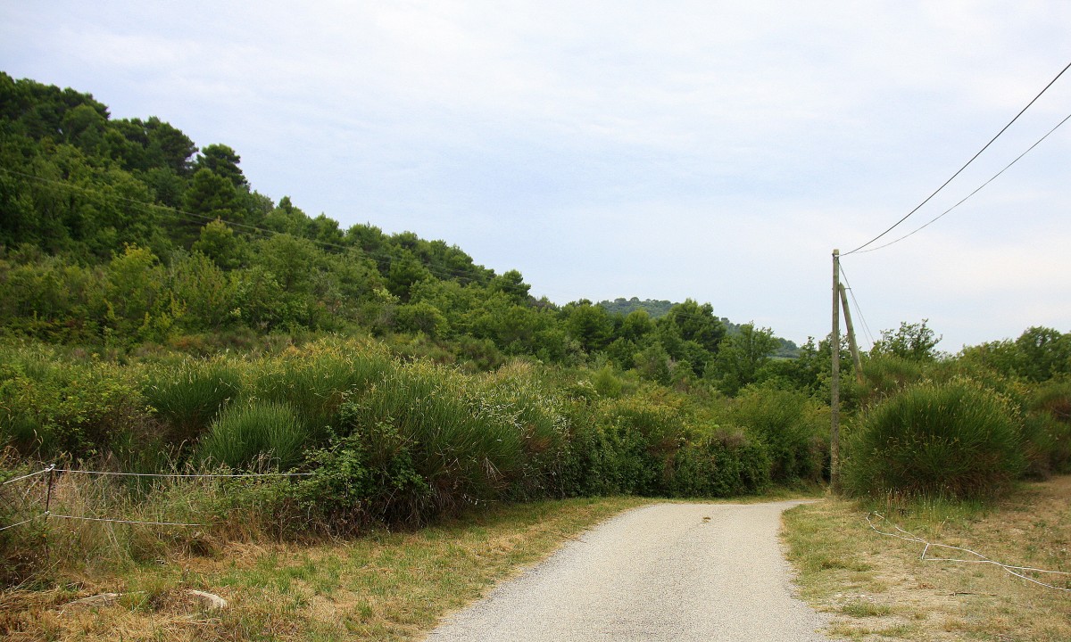 Eine Straße in der Provence(F) bei Sonne und Wolken am Vormittag vom 25.7.2014. 