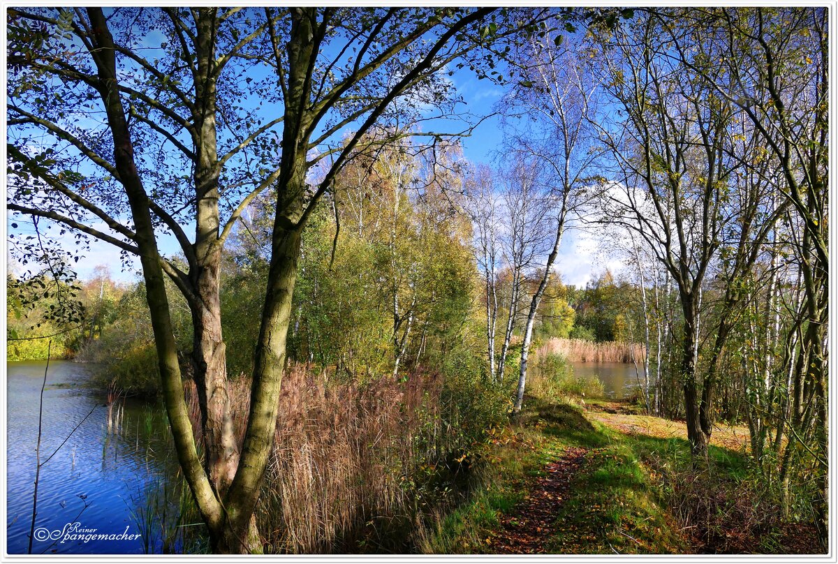 Eine Wasserlandschaft bei Fintel Nähe Schneverdingen. Viele kleine und größere Teiche sind hier durch schmale Wanderwege mit einander verbunden. Besonders reizvoll im Herbst. Anfang November 2022.