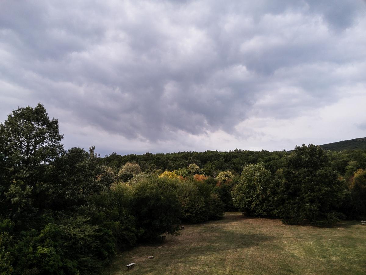 Eine Wiese im Mecsek Berg (genauer Standpunkt: Éger-tető). Aufnahmezeit: 22.09.2018.