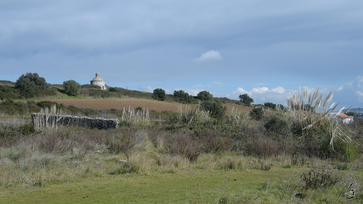 Eine Wiese in Portugal. (Lameiras, Januar 2017)