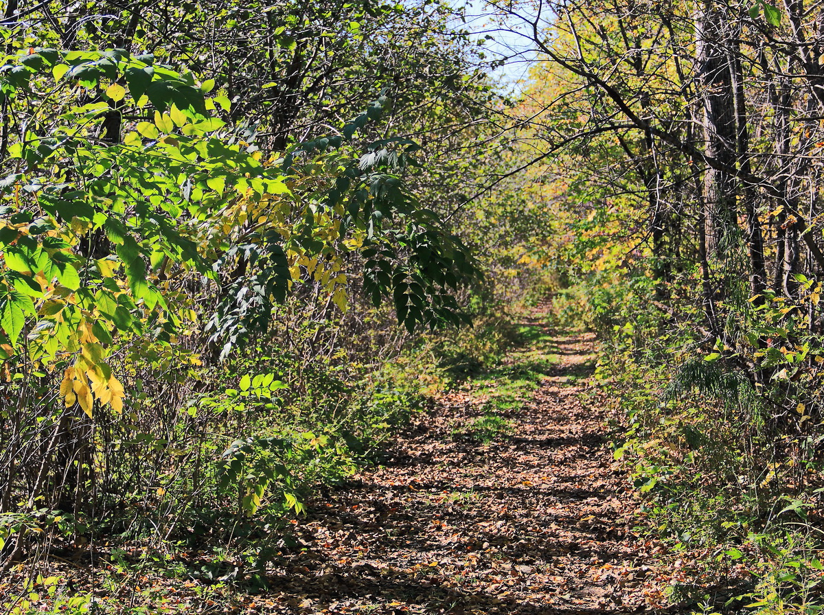 Eingang in den Bolschechechzirskij-Naturpark nahe Ulan Ude am 22. September 2017.