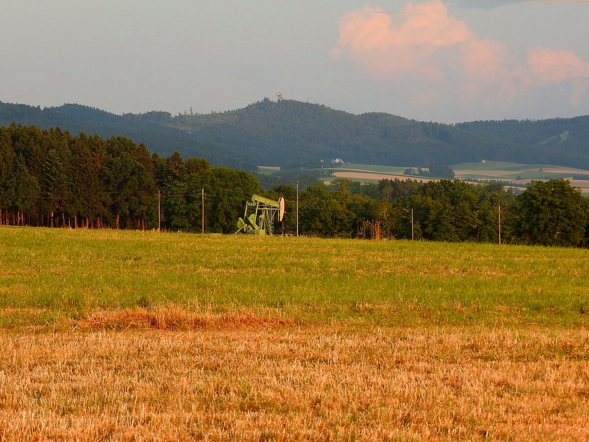  Einzelkämpfer , bzw. Öl-,Tiefpumpe im Innviertel auf den Feldern/Wiesen nächst Hohenzell; 230708