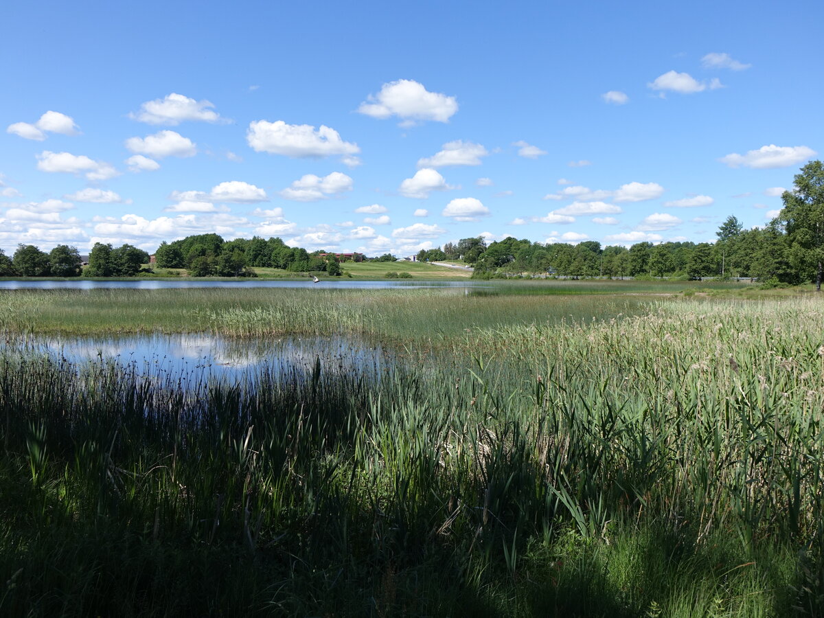 Eksjöhovgårdssjö See bei Sävsjö in der Provinz Smaland (12.06.2016)