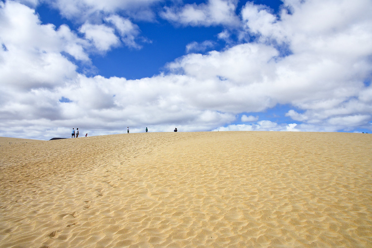 El Jable - Las Dunas de Corralejo (Die Wanderdüne von Corralejo) auf der Insel Fuerteventura. Seit 1982 werden Strand und Wanderdünen als besonderes Naturschutzgebiet der EU ausgewiesen, da die Wanderdünen durch die stetig präsenten Winde, immer in Bewegung sind. Aufnahme: 19. Oktober 2017.