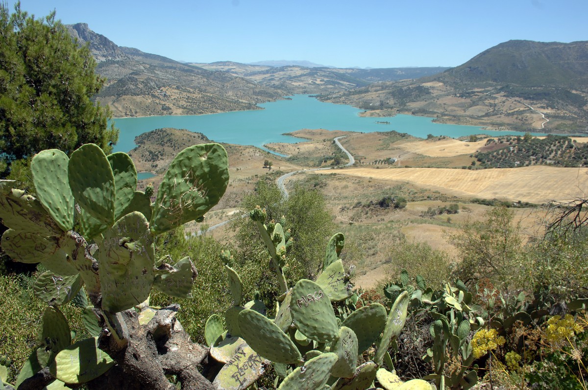 Embalse de Zahara von der Landesstraße Zahara-Grazalema aus gesehen. Aufnahme: Juli 2014.