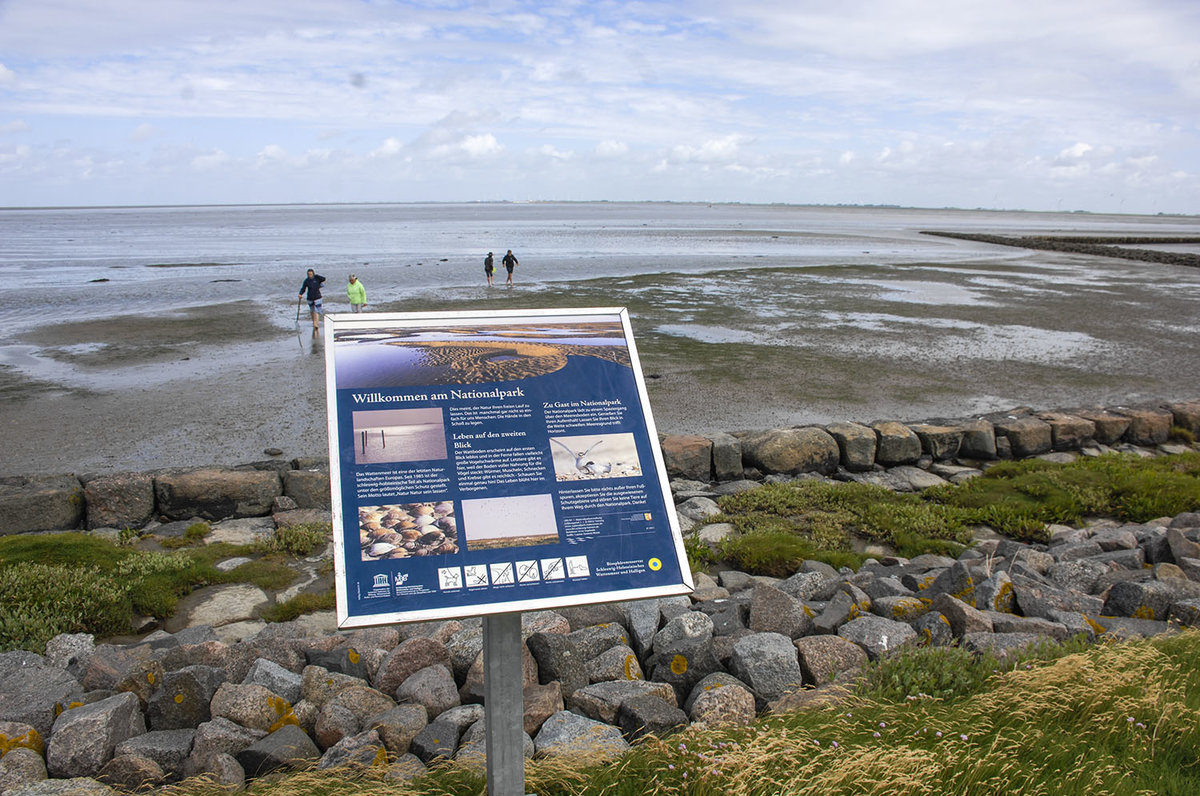 Ende der Wattwanderung-Strecke zwischen Dagebüll und der Hallig Land in Nordfriesland. Der Nationalpark Schleswig-Holsteinisches Wattenmeer reicht von der deutsch-dänischen Seegrenze im Norden bis hin zur Elbmündung im Süden. Im nordfriesischen Teil umfasst er das Watt um die Geestkern- und Marscheninseln und Halligen.
Aufnahme: 25. Juni 2017.