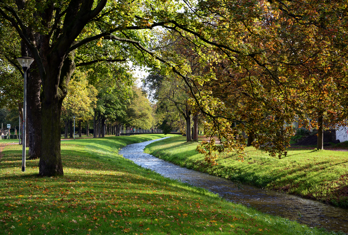 Erftaue Euskirchen im Herbst - 26.10.2014