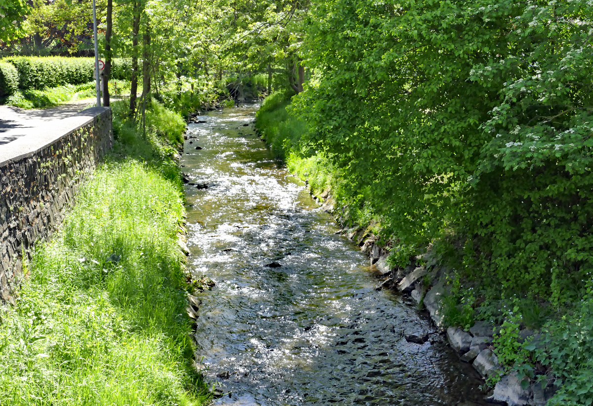 Erftlauf im Frühling bei Bad Münstereifel-Kirspenich - 04.05.2018