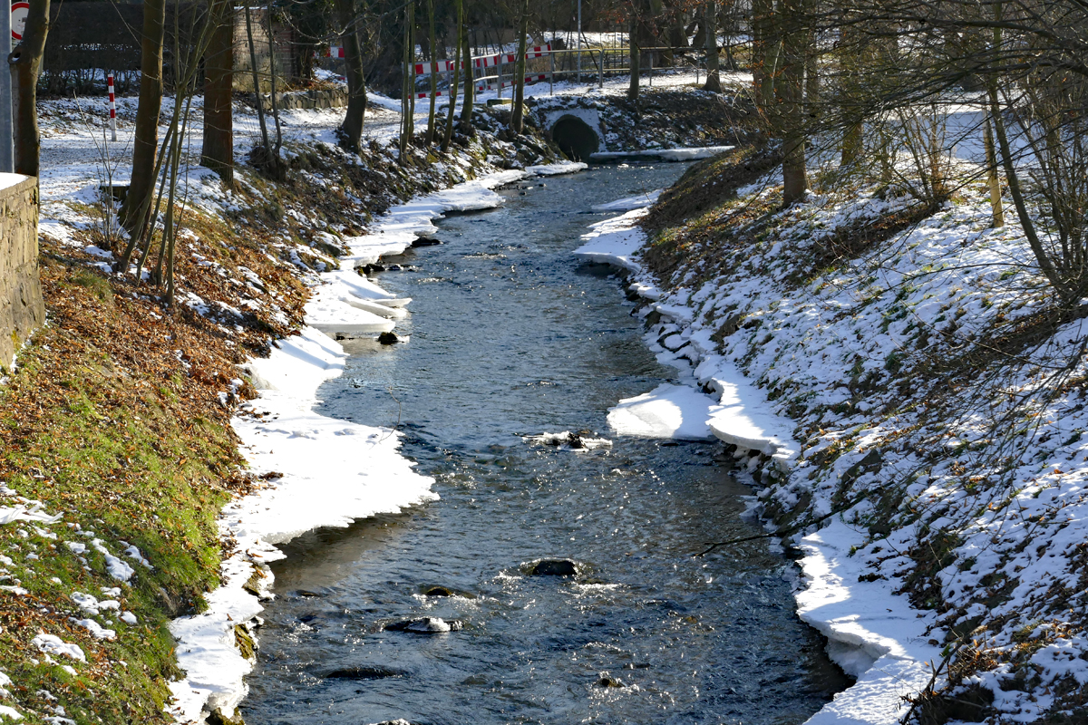 Erftlauf im Winter bei Eu-Kirspenich - 26.01.2017