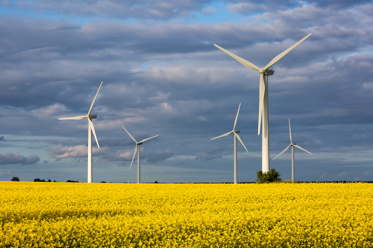 Erneuerbare Energien an der B 109 zwischen Greifswald und Anklam. - 27.05.2015