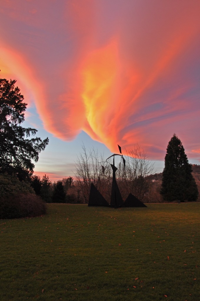 Es scheint, die letzten Sonnenstrahlen setzen die Wolke in Brand. Die Aufnahme entstand im Garten der Fondation Beyeler am 12.01.2015.