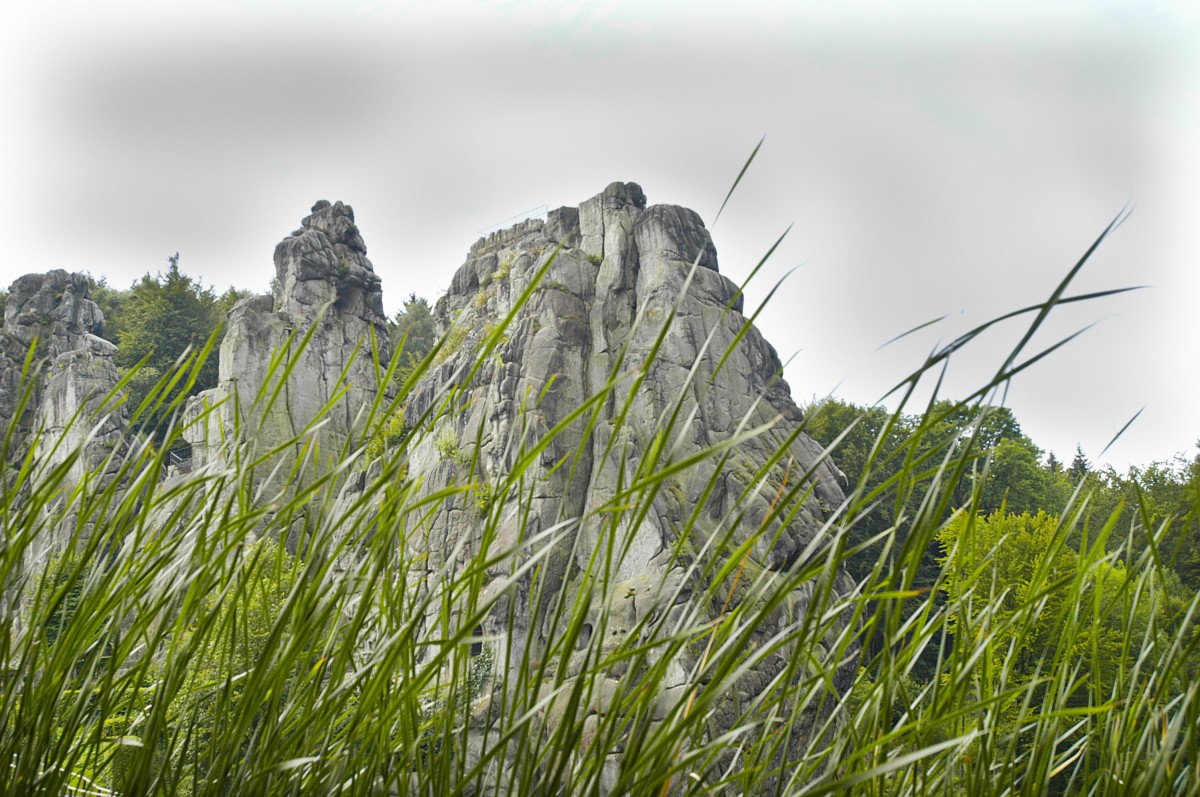 Externesteine mit Seegras im Vordergrund. Aufnahme: Juli 2007.