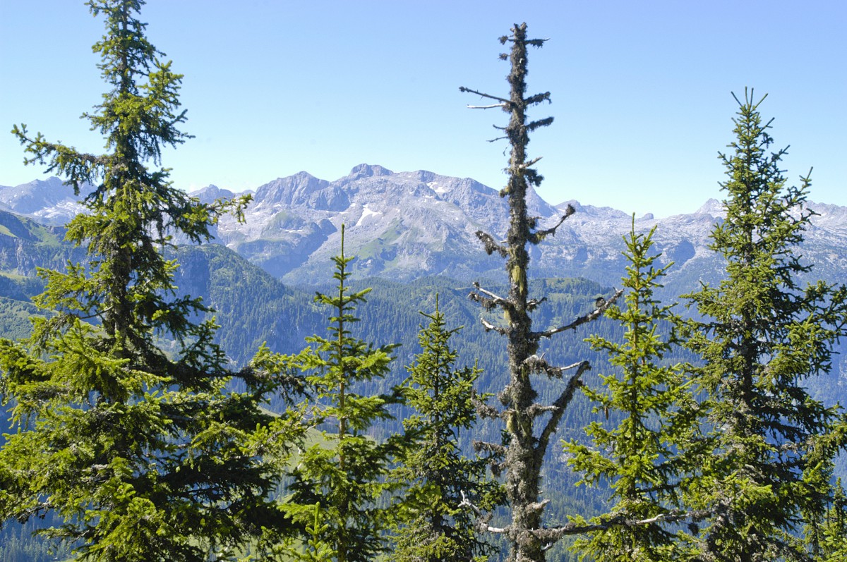 Fagstein (2164 Meter) und Schlumkopf (2204 Meter) von der Jenner Bergstation aus gesehen. Aufnahme: Juli 2008.