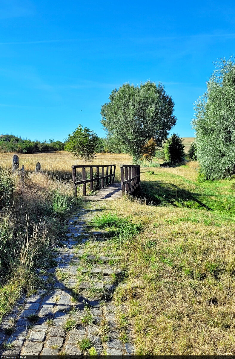 Fahrradtour von Halle (Saale) nach Aschersleben
Die Wege sind teils sehr abenteuerlich, aber auch idyllisch. Am Ortsrand von Zabenstedt führt eine hölzerne Brücke über die Schlenze – ein 15 Kilometer langer Bach.

🕓 7.8.2022 | 9:11 Uhr