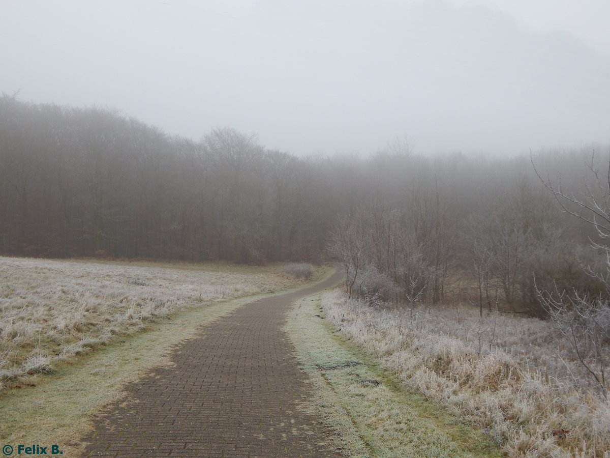 Fast wie Schnee sieht der Frost in Sassnitz am 17.12.2016 aus.