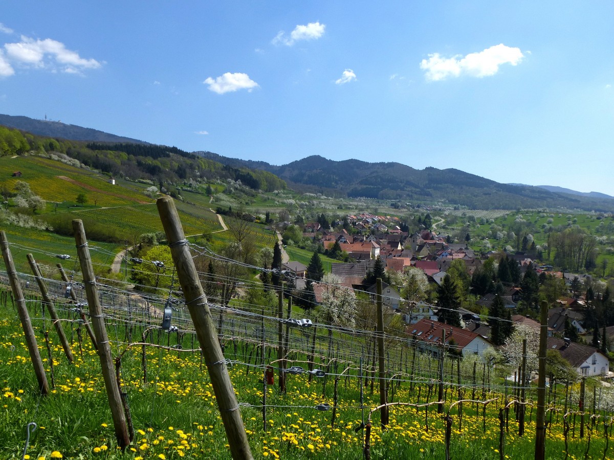 Feldberg im Markgrflerland, Blick ber den Ort auf die Berge des sdlichen Schwarzwaldes, April 2013