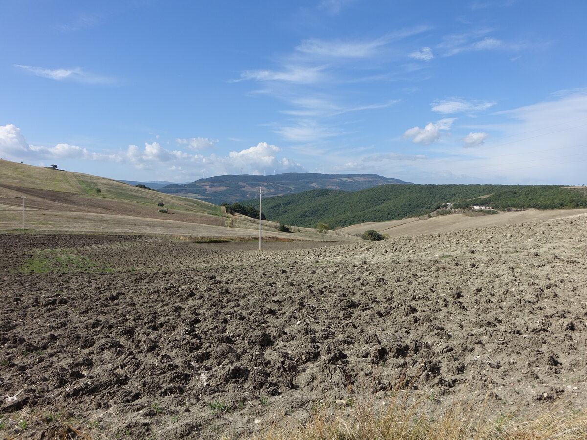 Felder bei Acerenza, Region Basilikata (30.09.2022)