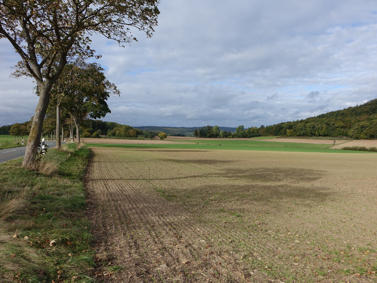 Felder bei Bad Pyrmont im Weserbergland (06.10.2021)