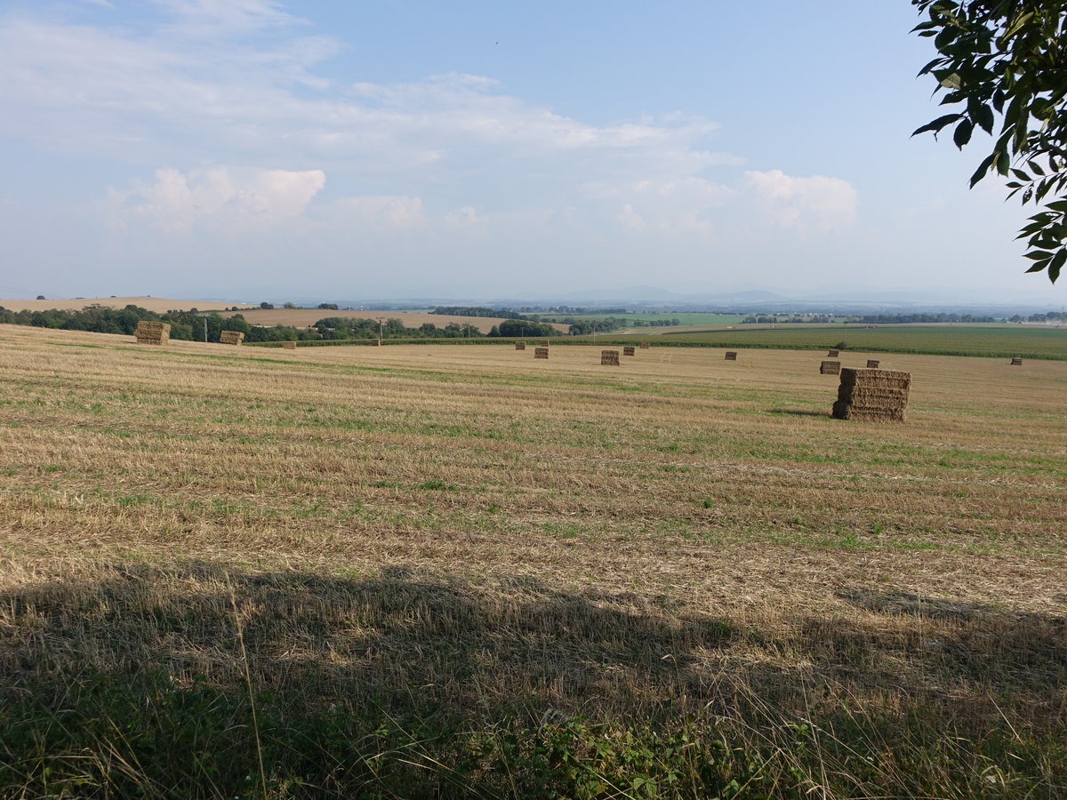 Felder bei Bilovec im Moravskoslezský kraj (31.08.2019)