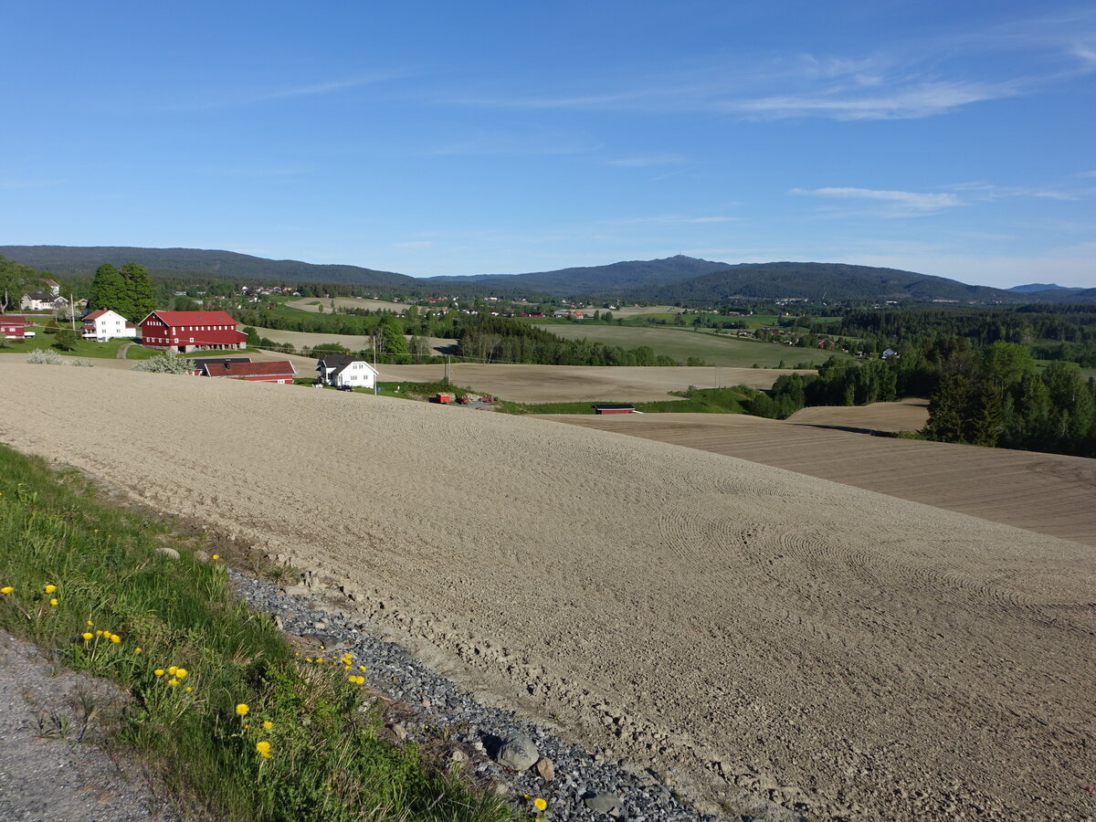 Felder bei Heistad, Fylke Viken (30.05.2023)