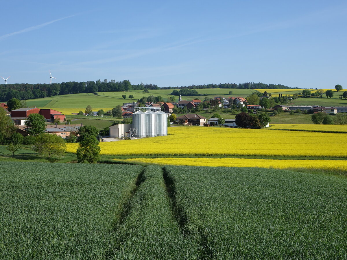 Felder bei Itzenhain, Schwalm-Eder Kreis (15.05.2022)