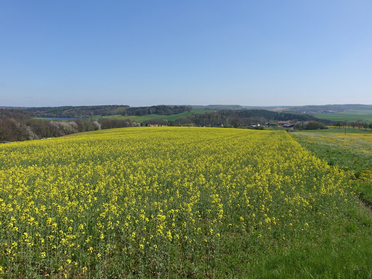Felder bei Letzendorf im Naturraum Ostthüringer Schiefergebirge (30.04.2023)