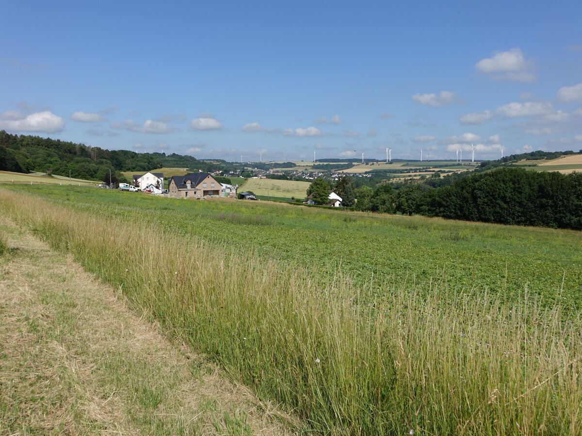 Felder bei Welschbillig, Lkr. Trier-Saarburg (23.06.2022)