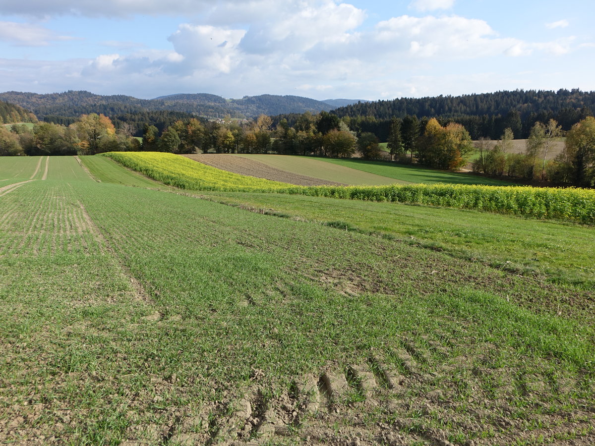 Felder bei Wildenranna im Lkr. Passau (21.10.2018)