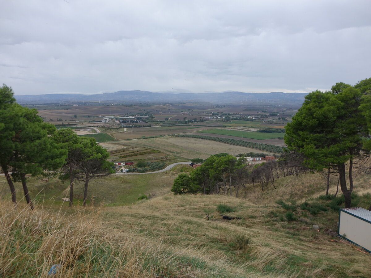 Felder und Olivenhaine bei Lucera, Provinz Foggia, Apulien (26.09.2022)