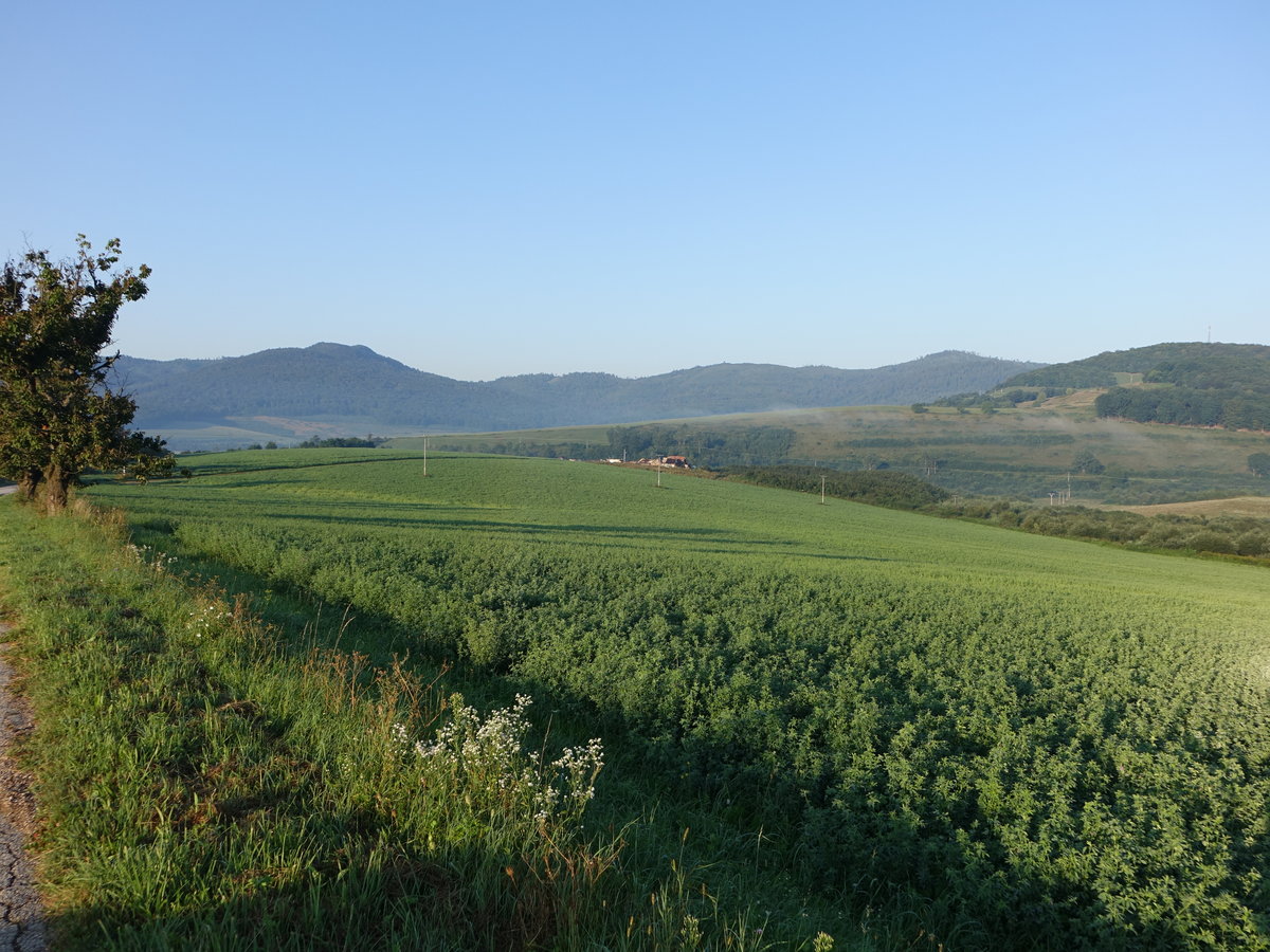 Felder im Tal der Orava bei Nizna, Zilinsky Kraj (30.08.2020)