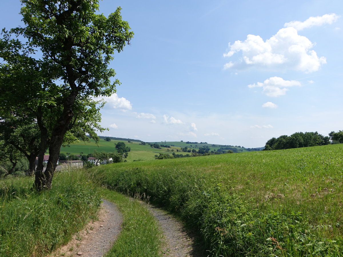 Feldweg im Thulbatal bei Gerode in Unterfranken (27.05.2018)