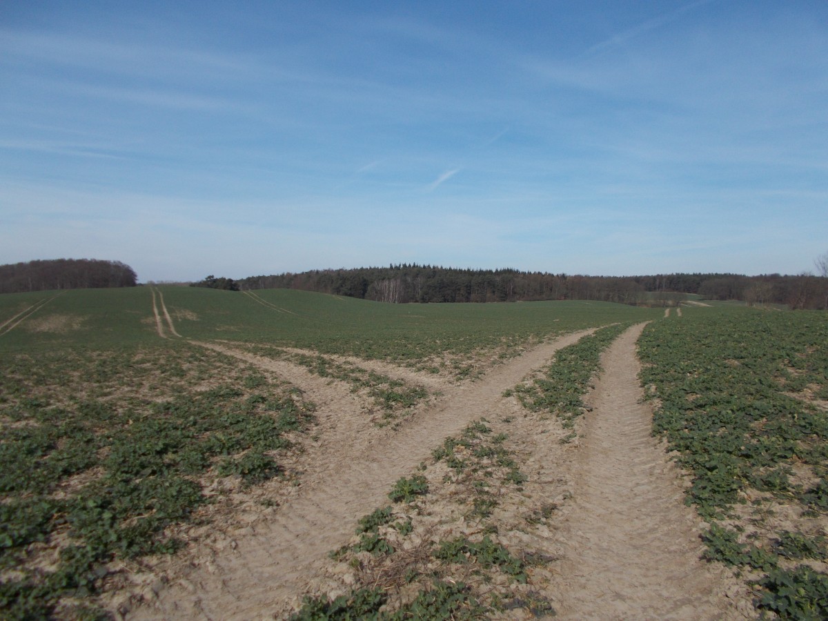 Feldwege über dem Acker,am 23.März 2015,bei Bergen/Rügen.