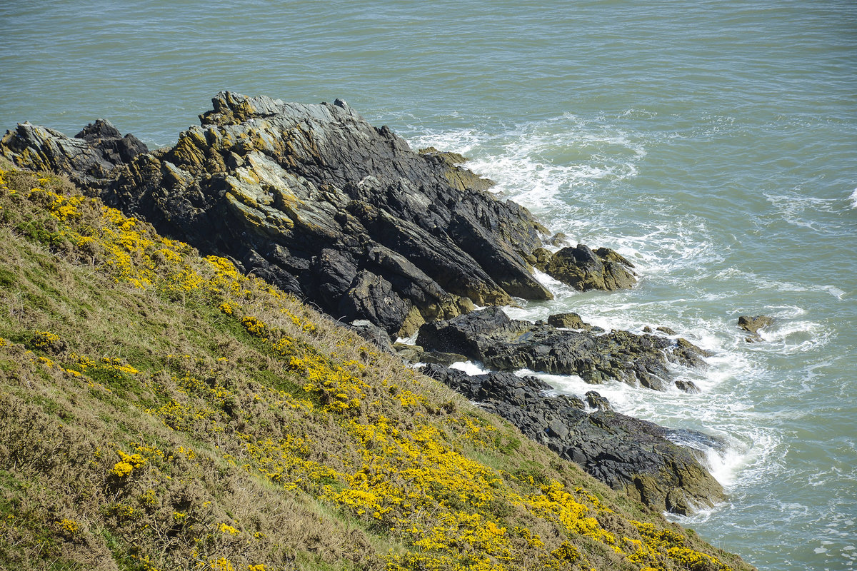 Felsen vor Howth Hea. Auf der Rundtour auf den Hill of Howth erwarten Sie großartige Kontraste – vom stürmisch tosenden Meer bis hin zu friedlichen Wiesen im Landesinneren. 
Aufnahme: 12. Mai 2018.