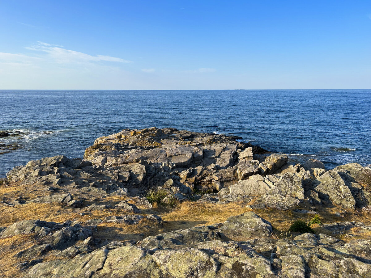 Felsenküste vor Gudhjem im Norden von Bornholm. Aufnahme: 14. Juni 2023